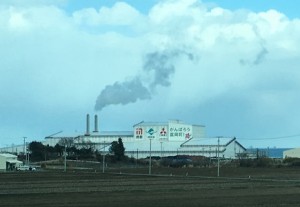 焼却による減容化の安全性 〔原子力市民委員会〕